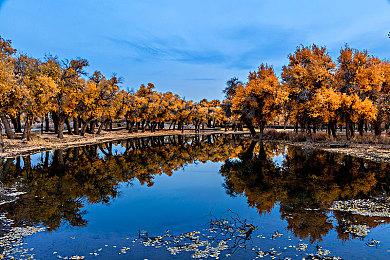 《星球大战：法外狂徒》女主太丑？主创回应：她很美